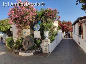 [P93] La pas prin Insula Stromboli » foto by crismis
 - 
<span class="allrVoted glyphicon glyphicon-heart hidden" id="av1498822"></span>
<a class="m-l-10 hidden" id="sv1498822" onclick="voting_Foto_DelVot(,1498822,21065)" role="button">șterge vot <span class="glyphicon glyphicon-remove"></span></a>
<a id="v91498822" class=" c-red"  onclick="voting_Foto_SetVot(1498822)" role="button"><span class="glyphicon glyphicon-heart-empty"></span> <b>LIKE</b> = Votează poza</a> <img class="hidden"  id="f1498822W9" src="/imagini/loader.gif" border="0" /><span class="AjErrMes hidden" id="e1498822ErM"></span>