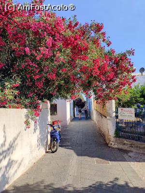 [P94] La pas prin Insula Stromboli » foto by crismis
 - 
<span class="allrVoted glyphicon glyphicon-heart hidden" id="av1498823"></span>
<a class="m-l-10 hidden" id="sv1498823" onclick="voting_Foto_DelVot(,1498823,21065)" role="button">șterge vot <span class="glyphicon glyphicon-remove"></span></a>
<a id="v91498823" class=" c-red"  onclick="voting_Foto_SetVot(1498823)" role="button"><span class="glyphicon glyphicon-heart-empty"></span> <b>LIKE</b> = Votează poza</a> <img class="hidden"  id="f1498823W9" src="/imagini/loader.gif" border="0" /><span class="AjErrMes hidden" id="e1498823ErM"></span>