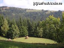 [P01]  -- <small>// FĂRĂ DESCRIERE</small> » foto by libertango
 - 
<span class="allrVoted glyphicon glyphicon-heart hidden" id="av208064"></span>
<a class="m-l-10 hidden" id="sv208064" onclick="voting_Foto_DelVot(,208064,21083)" role="button">șterge vot <span class="glyphicon glyphicon-remove"></span></a>
<a id="v9208064" class=" c-red"  onclick="voting_Foto_SetVot(208064)" role="button"><span class="glyphicon glyphicon-heart-empty"></span> <b>LIKE</b> = Votează poza</a> <img class="hidden"  id="f208064W9" src="/imagini/loader.gif" border="0" /><span class="AjErrMes hidden" id="e208064ErM"></span>