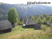 [P11]  -- <small>// FĂRĂ DESCRIERE</small> » foto by libertango
 - 
<span class="allrVoted glyphicon glyphicon-heart hidden" id="av208074"></span>
<a class="m-l-10 hidden" id="sv208074" onclick="voting_Foto_DelVot(,208074,21083)" role="button">șterge vot <span class="glyphicon glyphicon-remove"></span></a>
<a id="v9208074" class=" c-red"  onclick="voting_Foto_SetVot(208074)" role="button"><span class="glyphicon glyphicon-heart-empty"></span> <b>LIKE</b> = Votează poza</a> <img class="hidden"  id="f208074W9" src="/imagini/loader.gif" border="0" /><span class="AjErrMes hidden" id="e208074ErM"></span>