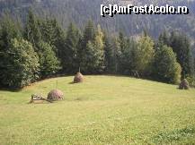 [P06]  -- <small>// FĂRĂ DESCRIERE</small> » foto by libertango
 - 
<span class="allrVoted glyphicon glyphicon-heart hidden" id="av208069"></span>
<a class="m-l-10 hidden" id="sv208069" onclick="voting_Foto_DelVot(,208069,21083)" role="button">șterge vot <span class="glyphicon glyphicon-remove"></span></a>
<a id="v9208069" class=" c-red"  onclick="voting_Foto_SetVot(208069)" role="button"><span class="glyphicon glyphicon-heart-empty"></span> <b>LIKE</b> = Votează poza</a> <img class="hidden"  id="f208069W9" src="/imagini/loader.gif" border="0" /><span class="AjErrMes hidden" id="e208069ErM"></span>