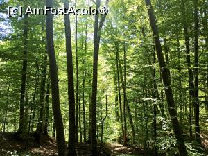 [P06] Pădure Crasna » foto by kemi27
 - 
<span class="allrVoted glyphicon glyphicon-heart hidden" id="av1500200"></span>
<a class="m-l-10 hidden" id="sv1500200" onclick="voting_Foto_DelVot(,1500200,21143)" role="button">șterge vot <span class="glyphicon glyphicon-remove"></span></a>
<a id="v91500200" class=" c-red"  onclick="voting_Foto_SetVot(1500200)" role="button"><span class="glyphicon glyphicon-heart-empty"></span> <b>LIKE</b> = Votează poza</a> <img class="hidden"  id="f1500200W9" src="/imagini/loader.gif" border="0" /><span class="AjErrMes hidden" id="e1500200ErM"></span>