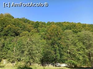 [P08] Drum mănăstirea Crasna » foto by kemi27
 - 
<span class="allrVoted glyphicon glyphicon-heart hidden" id="av1500202"></span>
<a class="m-l-10 hidden" id="sv1500202" onclick="voting_Foto_DelVot(,1500202,21143)" role="button">șterge vot <span class="glyphicon glyphicon-remove"></span></a>
<a id="v91500202" class=" c-red"  onclick="voting_Foto_SetVot(1500202)" role="button"><span class="glyphicon glyphicon-heart-empty"></span> <b>LIKE</b> = Votează poza</a> <img class="hidden"  id="f1500202W9" src="/imagini/loader.gif" border="0" /><span class="AjErrMes hidden" id="e1500202ErM"></span>