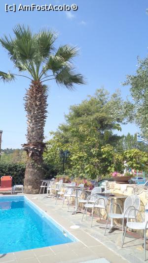 [P07] În curtea hotelului, unul din palmieri, străjer al piscinei...  » foto by Lyssys
 - 
<span class="allrVoted glyphicon glyphicon-heart hidden" id="av800767"></span>
<a class="m-l-10 hidden" id="sv800767" onclick="voting_Foto_DelVot(,800767,21161)" role="button">șterge vot <span class="glyphicon glyphicon-remove"></span></a>
<a id="v9800767" class=" c-red"  onclick="voting_Foto_SetVot(800767)" role="button"><span class="glyphicon glyphicon-heart-empty"></span> <b>LIKE</b> = Votează poza</a> <img class="hidden"  id="f800767W9" src="/imagini/loader.gif" border="0" /><span class="AjErrMes hidden" id="e800767ErM"></span>