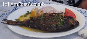 [P19] Restaurantul Nemesis - dorada » foto by Carmen Ion
 - 
<span class="allrVoted glyphicon glyphicon-heart hidden" id="av1507913"></span>
<a class="m-l-10 hidden" id="sv1507913" onclick="voting_Foto_DelVot(,1507913,21168)" role="button">șterge vot <span class="glyphicon glyphicon-remove"></span></a>
<a id="v91507913" class=" c-red"  onclick="voting_Foto_SetVot(1507913)" role="button"><span class="glyphicon glyphicon-heart-empty"></span> <b>LIKE</b> = Votează poza</a> <img class="hidden"  id="f1507913W9" src="/imagini/loader.gif" border="0" /><span class="AjErrMes hidden" id="e1507913ErM"></span>