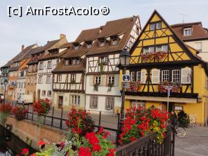 [P17] Colmar » foto by Elissa
 - 
<span class="allrVoted glyphicon glyphicon-heart hidden" id="av803633"></span>
<a class="m-l-10 hidden" id="sv803633" onclick="voting_Foto_DelVot(,803633,21188)" role="button">șterge vot <span class="glyphicon glyphicon-remove"></span></a>
<a id="v9803633" class=" c-red"  onclick="voting_Foto_SetVot(803633)" role="button"><span class="glyphicon glyphicon-heart-empty"></span> <b>LIKE</b> = Votează poza</a> <img class="hidden"  id="f803633W9" src="/imagini/loader.gif" border="0" /><span class="AjErrMes hidden" id="e803633ErM"></span>