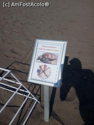 [P14] Un cuib in care broasca testoasa depusese oua.  » foto by bogdanmo
 - 
<span class="allrVoted glyphicon glyphicon-heart hidden" id="av973368"></span>
<a class="m-l-10 hidden" id="sv973368" onclick="voting_Foto_DelVot(,973368,21199)" role="button">șterge vot <span class="glyphicon glyphicon-remove"></span></a>
<a id="v9973368" class=" c-red"  onclick="voting_Foto_SetVot(973368)" role="button"><span class="glyphicon glyphicon-heart-empty"></span> <b>LIKE</b> = Votează poza</a> <img class="hidden"  id="f973368W9" src="/imagini/loader.gif" border="0" /><span class="AjErrMes hidden" id="e973368ErM"></span>