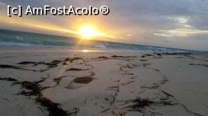 [P04]  -- <small>// FĂRĂ DESCRIERE</small> » foto by Roxie
 - 
<span class="allrVoted glyphicon glyphicon-heart hidden" id="av804326"></span>
<a class="m-l-10 hidden" id="sv804326" onclick="voting_Foto_DelVot(,804326,21202)" role="button">șterge vot <span class="glyphicon glyphicon-remove"></span></a>
<a id="v9804326" class=" c-red"  onclick="voting_Foto_SetVot(804326)" role="button"><span class="glyphicon glyphicon-heart-empty"></span> <b>LIKE</b> = Votează poza</a> <img class="hidden"  id="f804326W9" src="/imagini/loader.gif" border="0" /><span class="AjErrMes hidden" id="e804326ErM"></span>