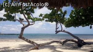 [P05]  -- <small>// FĂRĂ DESCRIERE</small> » foto by Roxie
 - 
<span class="allrVoted glyphicon glyphicon-heart hidden" id="av804327"></span>
<a class="m-l-10 hidden" id="sv804327" onclick="voting_Foto_DelVot(,804327,21202)" role="button">șterge vot <span class="glyphicon glyphicon-remove"></span></a>
<a id="v9804327" class=" c-red"  onclick="voting_Foto_SetVot(804327)" role="button"><span class="glyphicon glyphicon-heart-empty"></span> <b>LIKE</b> = Votează poza</a> <img class="hidden"  id="f804327W9" src="/imagini/loader.gif" border="0" /><span class="AjErrMes hidden" id="e804327ErM"></span>