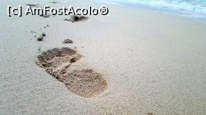 [P08]  -- <small>// FĂRĂ DESCRIERE</small> » foto by Roxie
 - 
<span class="allrVoted glyphicon glyphicon-heart hidden" id="av804330"></span>
<a class="m-l-10 hidden" id="sv804330" onclick="voting_Foto_DelVot(,804330,21202)" role="button">șterge vot <span class="glyphicon glyphicon-remove"></span></a>
<a id="v9804330" class=" c-red"  onclick="voting_Foto_SetVot(804330)" role="button"><span class="glyphicon glyphicon-heart-empty"></span> <b>LIKE</b> = Votează poza</a> <img class="hidden"  id="f804330W9" src="/imagini/loader.gif" border="0" /><span class="AjErrMes hidden" id="e804330ErM"></span>