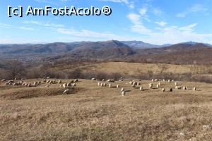 [P03] Mănăstirea Slănic, Argeş, Pe munţi zăpadă, pe deal oi la păscut în a doua zi de Crăciun » foto by mprofeanu
 - 
<span class="allrVoted glyphicon glyphicon-heart hidden" id="av938924"></span>
<a class="m-l-10 hidden" id="sv938924" onclick="voting_Foto_DelVot(,938924,21248)" role="button">șterge vot <span class="glyphicon glyphicon-remove"></span></a>
<a id="v9938924" class=" c-red"  onclick="voting_Foto_SetVot(938924)" role="button"><span class="glyphicon glyphicon-heart-empty"></span> <b>LIKE</b> = Votează poza</a> <img class="hidden"  id="f938924W9" src="/imagini/loader.gif" border="0" /><span class="AjErrMes hidden" id="e938924ErM"></span>