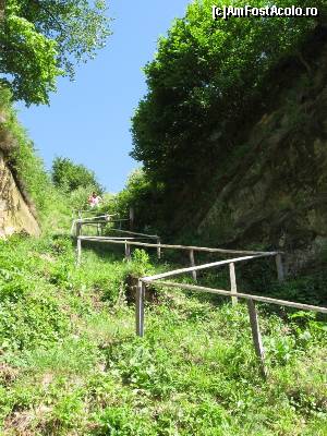 [P25] Cărarea către vârful stâncii.  » foto by tata123 🔱
 - 
<span class="allrVoted glyphicon glyphicon-heart hidden" id="av618818"></span>
<a class="m-l-10 hidden" id="sv618818" onclick="voting_Foto_DelVot(,618818,21248)" role="button">șterge vot <span class="glyphicon glyphicon-remove"></span></a>
<a id="v9618818" class=" c-red"  onclick="voting_Foto_SetVot(618818)" role="button"><span class="glyphicon glyphicon-heart-empty"></span> <b>LIKE</b> = Votează poza</a> <img class="hidden"  id="f618818W9" src="/imagini/loader.gif" border="0" /><span class="AjErrMes hidden" id="e618818ErM"></span>