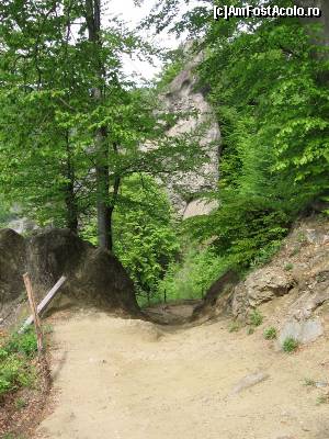 [P04] Poteca urcă printre copaci și stânci.  » foto by tata123 🔱
 - 
<span class="allrVoted glyphicon glyphicon-heart hidden" id="av618797"></span>
<a class="m-l-10 hidden" id="sv618797" onclick="voting_Foto_DelVot(,618797,21248)" role="button">șterge vot <span class="glyphicon glyphicon-remove"></span></a>
<a id="v9618797" class=" c-red"  onclick="voting_Foto_SetVot(618797)" role="button"><span class="glyphicon glyphicon-heart-empty"></span> <b>LIKE</b> = Votează poza</a> <img class="hidden"  id="f618797W9" src="/imagini/loader.gif" border="0" /><span class="AjErrMes hidden" id="e618797ErM"></span>