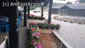 [P51] Curtea este plină de flori. Abia aștept să văd cum arată după ce s-a terminat amenajarea și la exterior.  » foto by Aurici
 - 
<span class="allrVoted glyphicon glyphicon-heart hidden" id="av815756"></span>
<a class="m-l-10 hidden" id="sv815756" onclick="voting_Foto_DelVot(,815756,21304)" role="button">șterge vot <span class="glyphicon glyphicon-remove"></span></a>
<a id="v9815756" class=" c-red"  onclick="voting_Foto_SetVot(815756)" role="button"><span class="glyphicon glyphicon-heart-empty"></span> <b>LIKE</b> = Votează poza</a> <img class="hidden"  id="f815756W9" src="/imagini/loader.gif" border="0" /><span class="AjErrMes hidden" id="e815756ErM"></span>