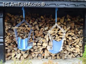 [P05] O clipă de răgaz. » foto by tata123 🔱
 - 
<span class="allrVoted glyphicon glyphicon-heart hidden" id="av1199653"></span>
<a class="m-l-10 hidden" id="sv1199653" onclick="voting_Foto_DelVot(,1199653,21304)" role="button">șterge vot <span class="glyphicon glyphicon-remove"></span></a>
<a id="v91199653" class=" c-red"  onclick="voting_Foto_SetVot(1199653)" role="button"><span class="glyphicon glyphicon-heart-empty"></span> <b>LIKE</b> = Votează poza</a> <img class="hidden"  id="f1199653W9" src="/imagini/loader.gif" border="0" /><span class="AjErrMes hidden" id="e1199653ErM"></span>