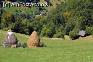 [P11] România - un colț de rai » foto by pepsi70ro
 - 
<span class="allrVoted glyphicon glyphicon-heart hidden" id="av801046"></span>
<a class="m-l-10 hidden" id="sv801046" onclick="voting_Foto_DelVot(,801046,21347)" role="button">șterge vot <span class="glyphicon glyphicon-remove"></span></a>
<a id="v9801046" class=" c-red"  onclick="voting_Foto_SetVot(801046)" role="button"><span class="glyphicon glyphicon-heart-empty"></span> <b>LIKE</b> = Votează poza</a> <img class="hidden"  id="f801046W9" src="/imagini/loader.gif" border="0" /><span class="AjErrMes hidden" id="e801046ErM"></span>