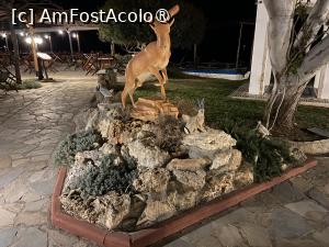 [P27] To Kafeneion - seara » foto by nicole33
 - 
<span class="allrVoted glyphicon glyphicon-heart hidden" id="av1499535"></span>
<a class="m-l-10 hidden" id="sv1499535" onclick="voting_Foto_DelVot(,1499535,21354)" role="button">șterge vot <span class="glyphicon glyphicon-remove"></span></a>
<a id="v91499535" class=" c-red"  onclick="voting_Foto_SetVot(1499535)" role="button"><span class="glyphicon glyphicon-heart-empty"></span> <b>LIKE</b> = Votează poza</a> <img class="hidden"  id="f1499535W9" src="/imagini/loader.gif" border="0" /><span class="AjErrMes hidden" id="e1499535ErM"></span>