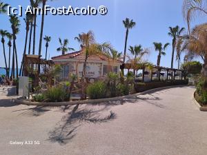 [P03] Abalone, restaurantul italian » foto by nicole33
 - 
<span class="allrVoted glyphicon glyphicon-heart hidden" id="av1499511"></span>
<a class="m-l-10 hidden" id="sv1499511" onclick="voting_Foto_DelVot(,1499511,21354)" role="button">șterge vot <span class="glyphicon glyphicon-remove"></span></a>
<a id="v91499511" class=" c-red"  onclick="voting_Foto_SetVot(1499511)" role="button"><span class="glyphicon glyphicon-heart-empty"></span> <b>LIKE</b> = Votează poza</a> <img class="hidden"  id="f1499511W9" src="/imagini/loader.gif" border="0" /><span class="AjErrMes hidden" id="e1499511ErM"></span>