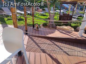 [P30] To Kyma - la bar cu pisica :) » foto by nicole33
 - 
<span class="allrVoted glyphicon glyphicon-heart hidden" id="av1499538"></span>
<a class="m-l-10 hidden" id="sv1499538" onclick="voting_Foto_DelVot(,1499538,21354)" role="button">șterge vot <span class="glyphicon glyphicon-remove"></span></a>
<a id="v91499538" class=" c-red"  onclick="voting_Foto_SetVot(1499538)" role="button"><span class="glyphicon glyphicon-heart-empty"></span> <b>LIKE</b> = Votează poza</a> <img class="hidden"  id="f1499538W9" src="/imagini/loader.gif" border="0" /><span class="AjErrMes hidden" id="e1499538ErM"></span>