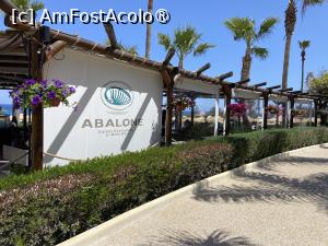 [P36] Abalone » foto by nicole33
 - 
<span class="allrVoted glyphicon glyphicon-heart hidden" id="av1499544"></span>
<a class="m-l-10 hidden" id="sv1499544" onclick="voting_Foto_DelVot(,1499544,21354)" role="button">șterge vot <span class="glyphicon glyphicon-remove"></span></a>
<a id="v91499544" class=" c-red"  onclick="voting_Foto_SetVot(1499544)" role="button"><span class="glyphicon glyphicon-heart-empty"></span> <b>LIKE</b> = Votează poza</a> <img class="hidden"  id="f1499544W9" src="/imagini/loader.gif" border="0" /><span class="AjErrMes hidden" id="e1499544ErM"></span>