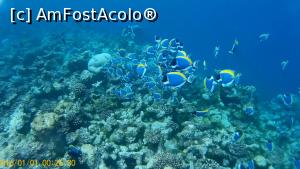 [P10]  -- <small>// FĂRĂ DESCRIERE</small> » foto by Denyse
 - 
<span class="allrVoted glyphicon glyphicon-heart hidden" id="av826432"></span>
<a class="m-l-10 hidden" id="sv826432" onclick="voting_Foto_DelVot(,826432,21404)" role="button">șterge vot <span class="glyphicon glyphicon-remove"></span></a>
<a id="v9826432" class=" c-red"  onclick="voting_Foto_SetVot(826432)" role="button"><span class="glyphicon glyphicon-heart-empty"></span> <b>LIKE</b> = Votează poza</a> <img class="hidden"  id="f826432W9" src="/imagini/loader.gif" border="0" /><span class="AjErrMes hidden" id="e826432ErM"></span>