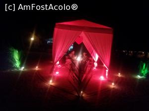 [P05]  -- <small>// FĂRĂ DESCRIERE</small> » foto by Denyse
 - 
<span class="allrVoted glyphicon glyphicon-heart hidden" id="av826427"></span>
<a class="m-l-10 hidden" id="sv826427" onclick="voting_Foto_DelVot(,826427,21404)" role="button">șterge vot <span class="glyphicon glyphicon-remove"></span></a>
<a id="v9826427" class=" c-red"  onclick="voting_Foto_SetVot(826427)" role="button"><span class="glyphicon glyphicon-heart-empty"></span> <b>LIKE</b> = Votează poza</a> <img class="hidden"  id="f826427W9" src="/imagini/loader.gif" border="0" /><span class="AjErrMes hidden" id="e826427ErM"></span>