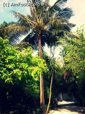 [P08]  -- <small>// FĂRĂ DESCRIERE</small> » foto by Denyse
 - 
<span class="allrVoted glyphicon glyphicon-heart hidden" id="av826430"></span>
<a class="m-l-10 hidden" id="sv826430" onclick="voting_Foto_DelVot(,826430,21404)" role="button">șterge vot <span class="glyphicon glyphicon-remove"></span></a>
<a id="v9826430" class=" c-red"  onclick="voting_Foto_SetVot(826430)" role="button"><span class="glyphicon glyphicon-heart-empty"></span> <b>LIKE</b> = Votează poza</a> <img class="hidden"  id="f826430W9" src="/imagini/loader.gif" border="0" /><span class="AjErrMes hidden" id="e826430ErM"></span>