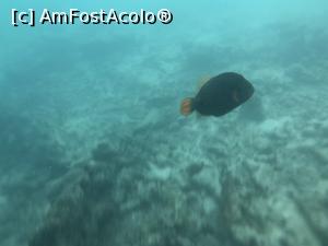 [P10]  -- <small>// FĂRĂ DESCRIERE</small> » foto by master1982
 - 
<span class="allrVoted glyphicon glyphicon-heart hidden" id="av976061"></span>
<a class="m-l-10 hidden" id="sv976061" onclick="voting_Foto_DelVot(,976061,21404)" role="button">șterge vot <span class="glyphicon glyphicon-remove"></span></a>
<a id="v9976061" class=" c-red"  onclick="voting_Foto_SetVot(976061)" role="button"><span class="glyphicon glyphicon-heart-empty"></span> <b>LIKE</b> = Votează poza</a> <img class="hidden"  id="f976061W9" src="/imagini/loader.gif" border="0" /><span class="AjErrMes hidden" id="e976061ErM"></span>