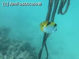 [P04]  -- <small>// FĂRĂ DESCRIERE</small> » foto by master1982
 - 
<span class="allrVoted glyphicon glyphicon-heart hidden" id="av976055"></span>
<a class="m-l-10 hidden" id="sv976055" onclick="voting_Foto_DelVot(,976055,21404)" role="button">șterge vot <span class="glyphicon glyphicon-remove"></span></a>
<a id="v9976055" class=" c-red"  onclick="voting_Foto_SetVot(976055)" role="button"><span class="glyphicon glyphicon-heart-empty"></span> <b>LIKE</b> = Votează poza</a> <img class="hidden"  id="f976055W9" src="/imagini/loader.gif" border="0" /><span class="AjErrMes hidden" id="e976055ErM"></span>