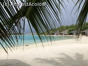 [P08]  -- <small>// FĂRĂ DESCRIERE</small> » foto by master1982
 - 
<span class="allrVoted glyphicon glyphicon-heart hidden" id="av976059"></span>
<a class="m-l-10 hidden" id="sv976059" onclick="voting_Foto_DelVot(,976059,21404)" role="button">șterge vot <span class="glyphicon glyphicon-remove"></span></a>
<a id="v9976059" class=" c-red"  onclick="voting_Foto_SetVot(976059)" role="button"><span class="glyphicon glyphicon-heart-empty"></span> <b>LIKE</b> = Votează poza</a> <img class="hidden"  id="f976059W9" src="/imagini/loader.gif" border="0" /><span class="AjErrMes hidden" id="e976059ErM"></span>