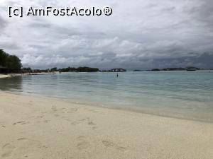 [P09]  -- <small>// FĂRĂ DESCRIERE</small> » foto by master1982
 - 
<span class="allrVoted glyphicon glyphicon-heart hidden" id="av976060"></span>
<a class="m-l-10 hidden" id="sv976060" onclick="voting_Foto_DelVot(,976060,21404)" role="button">șterge vot <span class="glyphicon glyphicon-remove"></span></a>
<a id="v9976060" class=" c-red"  onclick="voting_Foto_SetVot(976060)" role="button"><span class="glyphicon glyphicon-heart-empty"></span> <b>LIKE</b> = Votează poza</a> <img class="hidden"  id="f976060W9" src="/imagini/loader.gif" border="0" /><span class="AjErrMes hidden" id="e976060ErM"></span>