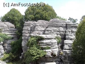 [P18] padurea de piatra » foto by adrianaglogo
 - 
<span class="allrVoted glyphicon glyphicon-heart hidden" id="av830845"></span>
<a class="m-l-10 hidden" id="sv830845" onclick="voting_Foto_DelVot(,830845,21484)" role="button">șterge vot <span class="glyphicon glyphicon-remove"></span></a>
<a id="v9830845" class=" c-red"  onclick="voting_Foto_SetVot(830845)" role="button"><span class="glyphicon glyphicon-heart-empty"></span> <b>LIKE</b> = Votează poza</a> <img class="hidden"  id="f830845W9" src="/imagini/loader.gif" border="0" /><span class="AjErrMes hidden" id="e830845ErM"></span>