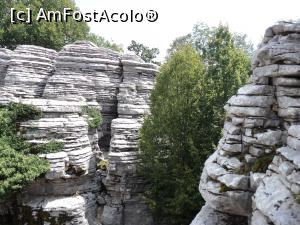 [P19]  -- <small>// FĂRĂ DESCRIERE</small> » foto by adrianaglogo
 - 
<span class="allrVoted glyphicon glyphicon-heart hidden" id="av830846"></span>
<a class="m-l-10 hidden" id="sv830846" onclick="voting_Foto_DelVot(,830846,21484)" role="button">șterge vot <span class="glyphicon glyphicon-remove"></span></a>
<a id="v9830846" class=" c-red"  onclick="voting_Foto_SetVot(830846)" role="button"><span class="glyphicon glyphicon-heart-empty"></span> <b>LIKE</b> = Votează poza</a> <img class="hidden"  id="f830846W9" src="/imagini/loader.gif" border="0" /><span class="AjErrMes hidden" id="e830846ErM"></span>