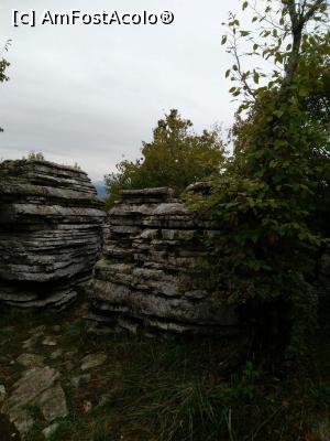 [P27]  -- <small>// FĂRĂ DESCRIERE</small> » foto by Testosu'
 - 
<span class="allrVoted glyphicon glyphicon-heart hidden" id="av915008"></span>
<a class="m-l-10 hidden" id="sv915008" onclick="voting_Foto_DelVot(,915008,21484)" role="button">șterge vot <span class="glyphicon glyphicon-remove"></span></a>
<a id="v9915008" class=" c-red"  onclick="voting_Foto_SetVot(915008)" role="button"><span class="glyphicon glyphicon-heart-empty"></span> <b>LIKE</b> = Votează poza</a> <img class="hidden"  id="f915008W9" src="/imagini/loader.gif" border="0" /><span class="AjErrMes hidden" id="e915008ErM"></span>