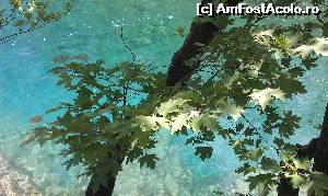 [P13] O altă imagine cu apa limpede a râului Voidomatis, regiunea Epir, Grecia.  » foto by traian.leuca †
 - 
<span class="allrVoted glyphicon glyphicon-heart hidden" id="av574433"></span>
<a class="m-l-10 hidden" id="sv574433" onclick="voting_Foto_DelVot(,574433,21484)" role="button">șterge vot <span class="glyphicon glyphicon-remove"></span></a>
<a id="v9574433" class=" c-red"  onclick="voting_Foto_SetVot(574433)" role="button"><span class="glyphicon glyphicon-heart-empty"></span> <b>LIKE</b> = Votează poza</a> <img class="hidden"  id="f574433W9" src="/imagini/loader.gif" border="0" /><span class="AjErrMes hidden" id="e574433ErM"></span>