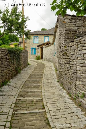 [P123] Monodendri.  » foto by Vlahos2003
 - 
<span class="allrVoted glyphicon glyphicon-heart hidden" id="av713707"></span>
<a class="m-l-10 hidden" id="sv713707" onclick="voting_Foto_DelVot(,713707,21484)" role="button">șterge vot <span class="glyphicon glyphicon-remove"></span></a>
<a id="v9713707" class=" c-red"  onclick="voting_Foto_SetVot(713707)" role="button"><span class="glyphicon glyphicon-heart-empty"></span> <b>LIKE</b> = Votează poza</a> <img class="hidden"  id="f713707W9" src="/imagini/loader.gif" border="0" /><span class="AjErrMes hidden" id="e713707ErM"></span>