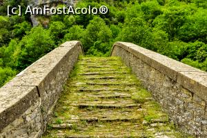 [P134] Misiou.  » foto by Vlahos2003
 - 
<span class="allrVoted glyphicon glyphicon-heart hidden" id="av713723"></span>
<a class="m-l-10 hidden" id="sv713723" onclick="voting_Foto_DelVot(,713723,21484)" role="button">șterge vot <span class="glyphicon glyphicon-remove"></span></a>
<a id="v9713723" class=" c-red"  onclick="voting_Foto_SetVot(713723)" role="button"><span class="glyphicon glyphicon-heart-empty"></span> <b>LIKE</b> = Votează poza</a> <img class="hidden"  id="f713723W9" src="/imagini/loader.gif" border="0" /><span class="AjErrMes hidden" id="e713723ErM"></span>