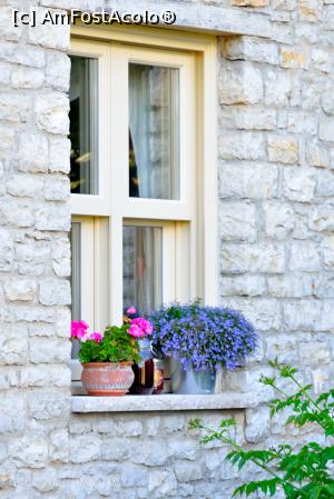 [P50] Complexul Machalas din satul Kipi.  » foto by Vlahos2003
 - 
<span class="allrVoted glyphicon glyphicon-heart hidden" id="av713624"></span>
<a class="m-l-10 hidden" id="sv713624" onclick="voting_Foto_DelVot(,713624,21484)" role="button">șterge vot <span class="glyphicon glyphicon-remove"></span></a>
<a id="v9713624" class=" c-red"  onclick="voting_Foto_SetVot(713624)" role="button"><span class="glyphicon glyphicon-heart-empty"></span> <b>LIKE</b> = Votează poza</a> <img class="hidden"  id="f713624W9" src="/imagini/loader.gif" border="0" /><span class="AjErrMes hidden" id="e713624ErM"></span>