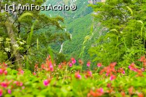 [P79] Canionul Vikos la Oxya.  » foto by Vlahos2003
 - 
<span class="allrVoted glyphicon glyphicon-heart hidden" id="av713653"></span>
<a class="m-l-10 hidden" id="sv713653" onclick="voting_Foto_DelVot(,713653,21484)" role="button">șterge vot <span class="glyphicon glyphicon-remove"></span></a>
<a id="v9713653" class=" c-red"  onclick="voting_Foto_SetVot(713653)" role="button"><span class="glyphicon glyphicon-heart-empty"></span> <b>LIKE</b> = Votează poza</a> <img class="hidden"  id="f713653W9" src="/imagini/loader.gif" border="0" /><span class="AjErrMes hidden" id="e713653ErM"></span>