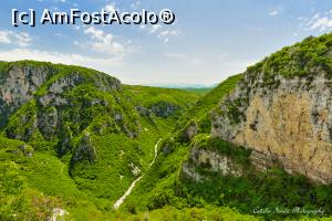 [P08] Raul Voidomatis.  » foto by Vlahos2003
 - 
<span class="allrVoted glyphicon glyphicon-heart hidden" id="av713582"></span>
<a class="m-l-10 hidden" id="sv713582" onclick="voting_Foto_DelVot(,713582,21484)" role="button">șterge vot <span class="glyphicon glyphicon-remove"></span></a>
<a id="v9713582" class=" c-red"  onclick="voting_Foto_SetVot(713582)" role="button"><span class="glyphicon glyphicon-heart-empty"></span> <b>LIKE</b> = Votează poza</a> <img class="hidden"  id="f713582W9" src="/imagini/loader.gif" border="0" /><span class="AjErrMes hidden" id="e713582ErM"></span>