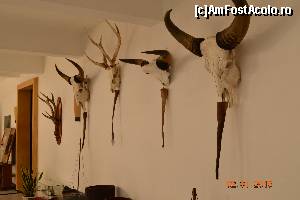 [P10] trofee » foto by andreea72
 - 
<span class="allrVoted glyphicon glyphicon-heart hidden" id="av593571"></span>
<a class="m-l-10 hidden" id="sv593571" onclick="voting_Foto_DelVot(,593571,21496)" role="button">șterge vot <span class="glyphicon glyphicon-remove"></span></a>
<a id="v9593571" class=" c-red"  onclick="voting_Foto_SetVot(593571)" role="button"><span class="glyphicon glyphicon-heart-empty"></span> <b>LIKE</b> = Votează poza</a> <img class="hidden"  id="f593571W9" src="/imagini/loader.gif" border="0" /><span class="AjErrMes hidden" id="e593571ErM"></span>