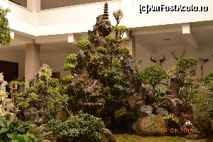 [P11] o mica gradina zen » foto by andreea72
 - 
<span class="allrVoted glyphicon glyphicon-heart hidden" id="av593572"></span>
<a class="m-l-10 hidden" id="sv593572" onclick="voting_Foto_DelVot(,593572,21496)" role="button">șterge vot <span class="glyphicon glyphicon-remove"></span></a>
<a id="v9593572" class=" c-red"  onclick="voting_Foto_SetVot(593572)" role="button"><span class="glyphicon glyphicon-heart-empty"></span> <b>LIKE</b> = Votează poza</a> <img class="hidden"  id="f593572W9" src="/imagini/loader.gif" border="0" /><span class="AjErrMes hidden" id="e593572ErM"></span>