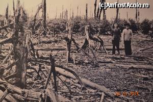 [P23] aici a fost o padure de mangrove » foto by andreea72
 - 
<span class="allrVoted glyphicon glyphicon-heart hidden" id="av593584"></span>
<a class="m-l-10 hidden" id="sv593584" onclick="voting_Foto_DelVot(,593584,21496)" role="button">șterge vot <span class="glyphicon glyphicon-remove"></span></a>
<a id="v9593584" class=" c-red"  onclick="voting_Foto_SetVot(593584)" role="button"><span class="glyphicon glyphicon-heart-empty"></span> <b>LIKE</b> = Votează poza</a> <img class="hidden"  id="f593584W9" src="/imagini/loader.gif" border="0" /><span class="AjErrMes hidden" id="e593584ErM"></span>