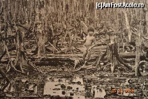 [P27] cum eu iubesc natura, ravagiile asupra ei m-au miscat teribil » foto by andreea72
 - 
<span class="allrVoted glyphicon glyphicon-heart hidden" id="av593588"></span>
<a class="m-l-10 hidden" id="sv593588" onclick="voting_Foto_DelVot(,593588,21496)" role="button">șterge vot <span class="glyphicon glyphicon-remove"></span></a>
<a id="v9593588" class=" c-red"  onclick="voting_Foto_SetVot(593588)" role="button"><span class="glyphicon glyphicon-heart-empty"></span> <b>LIKE</b> = Votează poza</a> <img class="hidden"  id="f593588W9" src="/imagini/loader.gif" border="0" /><span class="AjErrMes hidden" id="e593588ErM"></span>