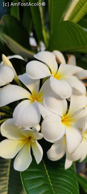 [P04] Manar Mall » foto by luc64
 - 
<span class="allrVoted glyphicon glyphicon-heart hidden" id="av1306461"></span>
<a class="m-l-10 hidden" id="sv1306461" onclick="voting_Foto_DelVot(,1306461,21516)" role="button">șterge vot <span class="glyphicon glyphicon-remove"></span></a>
<a id="v91306461" class=" c-red"  onclick="voting_Foto_SetVot(1306461)" role="button"><span class="glyphicon glyphicon-heart-empty"></span> <b>LIKE</b> = Votează poza</a> <img class="hidden"  id="f1306461W9" src="/imagini/loader.gif" border="0" /><span class="AjErrMes hidden" id="e1306461ErM"></span>