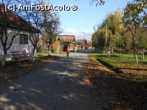 [P02] Ohaba - În sat, în drum spre Moara cu Apă. » foto by iulianic
 - 
<span class="allrVoted glyphicon glyphicon-heart hidden" id="av1350362"></span>
<a class="m-l-10 hidden" id="sv1350362" onclick="voting_Foto_DelVot(,1350362,21522)" role="button">șterge vot <span class="glyphicon glyphicon-remove"></span></a>
<a id="v91350362" class=" c-red"  onclick="voting_Foto_SetVot(1350362)" role="button"><span class="glyphicon glyphicon-heart-empty"></span> <b>LIKE</b> = Votează poza</a> <img class="hidden"  id="f1350362W9" src="/imagini/loader.gif" border="0" /><span class="AjErrMes hidden" id="e1350362ErM"></span>