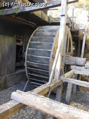 [P08] Ohaba - Moara cu Apă. Roata morii în revizie. » foto by iulianic
 - 
<span class="allrVoted glyphicon glyphicon-heart hidden" id="av1350368"></span>
<a class="m-l-10 hidden" id="sv1350368" onclick="voting_Foto_DelVot(,1350368,21522)" role="button">șterge vot <span class="glyphicon glyphicon-remove"></span></a>
<a id="v91350368" class=" c-red"  onclick="voting_Foto_SetVot(1350368)" role="button"><span class="glyphicon glyphicon-heart-empty"></span> <b>LIKE</b> = Votează poza</a> <img class="hidden"  id="f1350368W9" src="/imagini/loader.gif" border="0" /><span class="AjErrMes hidden" id="e1350368ErM"></span>