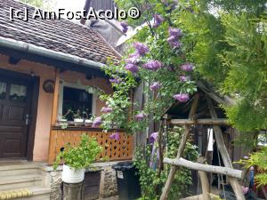 [P16] Alt cerdac, alte flori. » foto by maryka
 - 
<span class="allrVoted glyphicon glyphicon-heart hidden" id="av1226035"></span>
<a class="m-l-10 hidden" id="sv1226035" onclick="voting_Foto_DelVot(,1226035,21522)" role="button">șterge vot <span class="glyphicon glyphicon-remove"></span></a>
<a id="v91226035" class=" c-red"  onclick="voting_Foto_SetVot(1226035)" role="button"><span class="glyphicon glyphicon-heart-empty"></span> <b>LIKE</b> = Votează poza</a> <img class="hidden"  id="f1226035W9" src="/imagini/loader.gif" border="0" /><span class="AjErrMes hidden" id="e1226035ErM"></span>