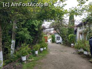 [P25] Curtea morii, privire spre poartă. » foto by maryka
 - 
<span class="allrVoted glyphicon glyphicon-heart hidden" id="av1226045"></span>
<a class="m-l-10 hidden" id="sv1226045" onclick="voting_Foto_DelVot(,1226045,21522)" role="button">șterge vot <span class="glyphicon glyphicon-remove"></span></a>
<a id="v91226045" class=" c-red"  onclick="voting_Foto_SetVot(1226045)" role="button"><span class="glyphicon glyphicon-heart-empty"></span> <b>LIKE</b> = Votează poza</a> <img class="hidden"  id="f1226045W9" src="/imagini/loader.gif" border="0" /><span class="AjErrMes hidden" id="e1226045ErM"></span>