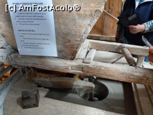 [P26] Mecanismul măcinatului. » foto by maryka
 - 
<span class="allrVoted glyphicon glyphicon-heart hidden" id="av1226046"></span>
<a class="m-l-10 hidden" id="sv1226046" onclick="voting_Foto_DelVot(,1226046,21522)" role="button">șterge vot <span class="glyphicon glyphicon-remove"></span></a>
<a id="v91226046" class=" c-red"  onclick="voting_Foto_SetVot(1226046)" role="button"><span class="glyphicon glyphicon-heart-empty"></span> <b>LIKE</b> = Votează poza</a> <img class="hidden"  id="f1226046W9" src="/imagini/loader.gif" border="0" /><span class="AjErrMes hidden" id="e1226046ErM"></span>